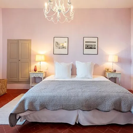 Villa Luxurious Provencal Village House, Walk To Village Pool
